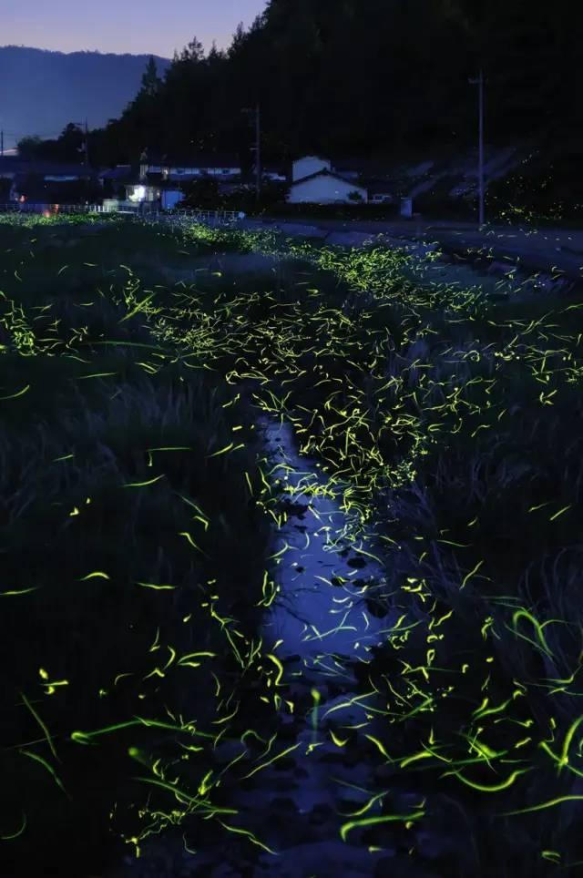 神游记