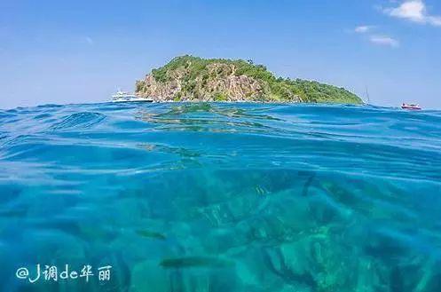 漳州南靖：党建引领聚合力  乡贤聚能促发展