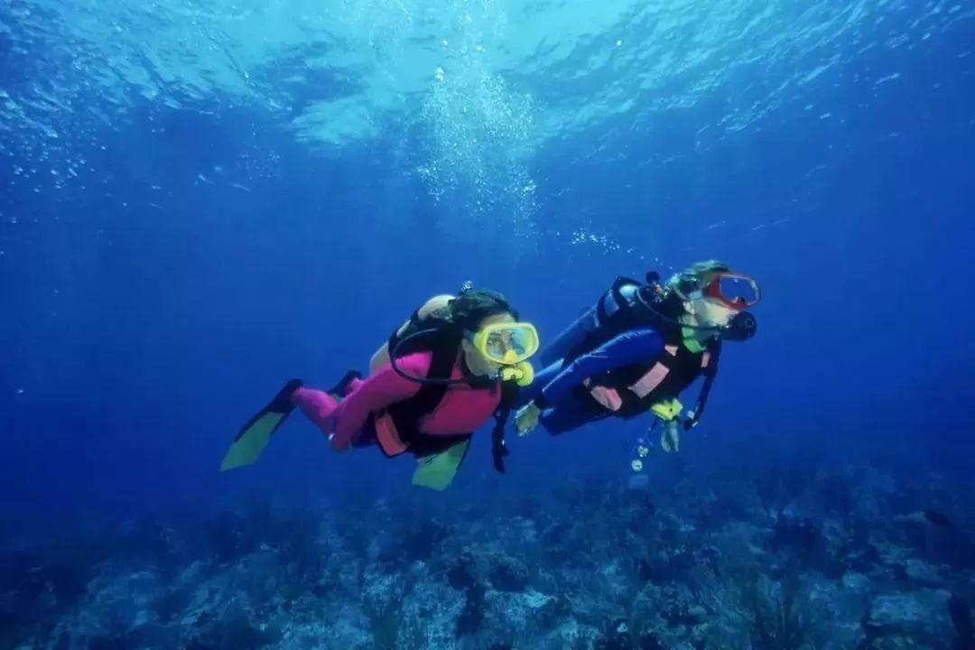 家庭暴力包括打人骂人吗？