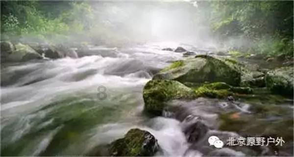 迷路的披萨配送员