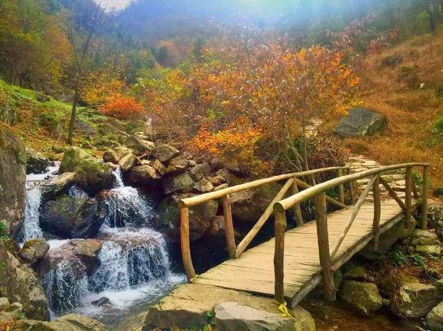 活力跳跳